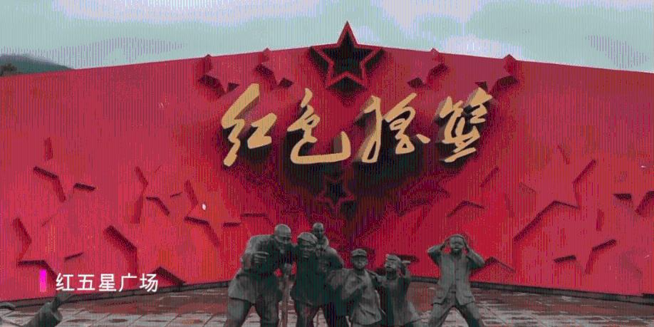 救援淘气的小狗
